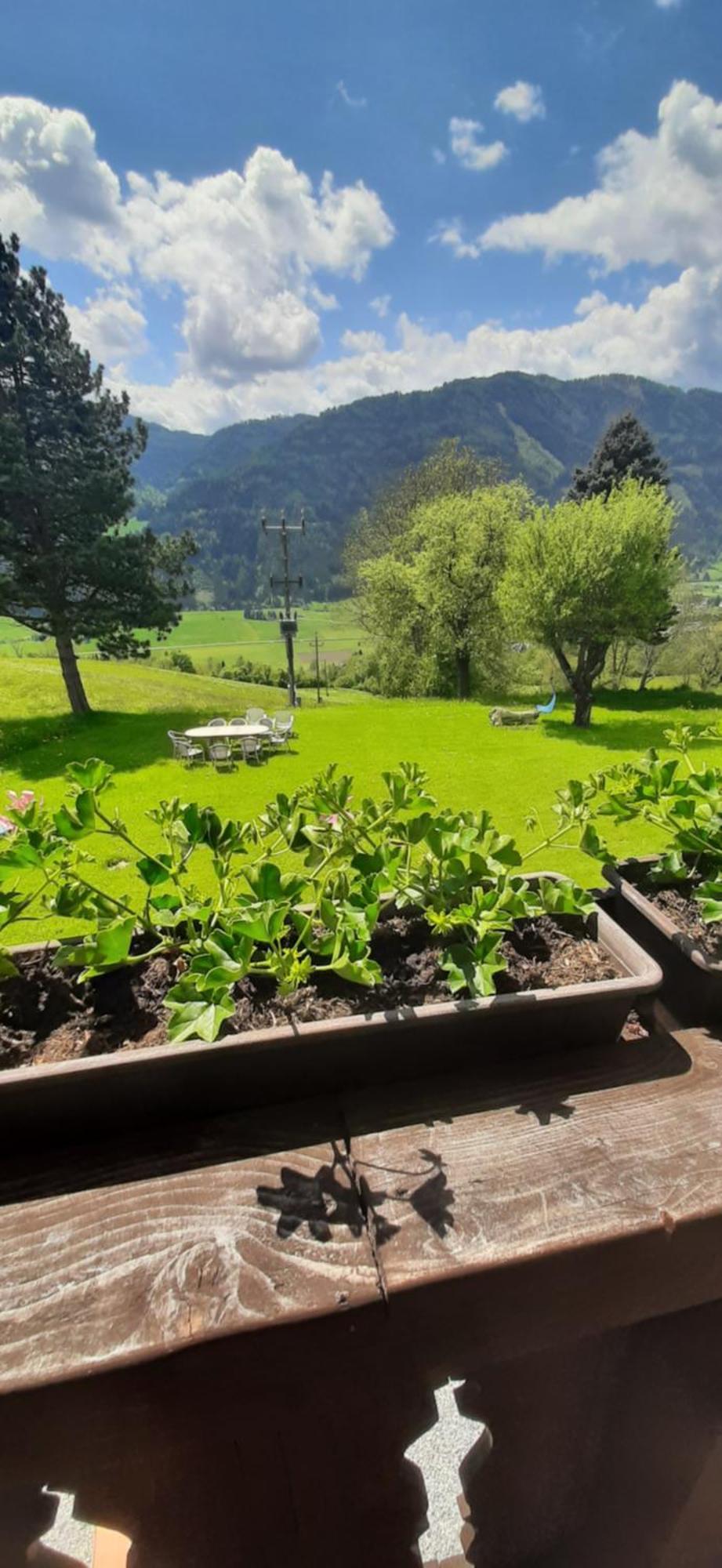 Fruhstuckspension Bischof I D Wiesen Sankt Peter am Kammersberg Exterior foto